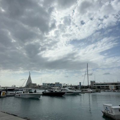 hbalfadhalah's profile picture. 