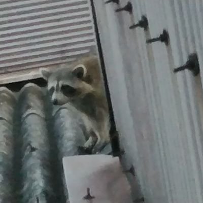 GageHeiden53670's profile picture. You don’t buy a nice car and get rich you get rich and buy a nice car