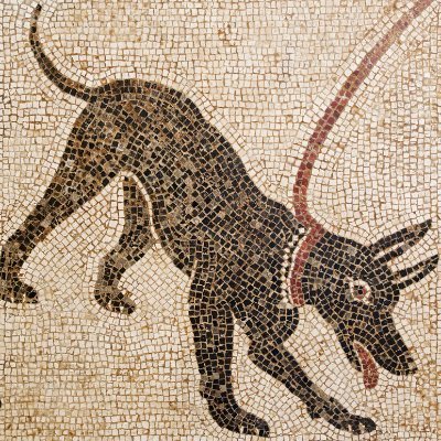 Ρωμαίοι/ローマさんのプロフィール画像