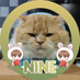 หมีอ้วน แม่น้องนาย💕🍓🍓 (@mheeaurn) Twitter profile photo หมีอ้วน แม่น้องนาย💕🍓🍓 (@mheeaurn) Twitter profile photo