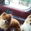 Doug Mack - @DougMack4 - Twitter