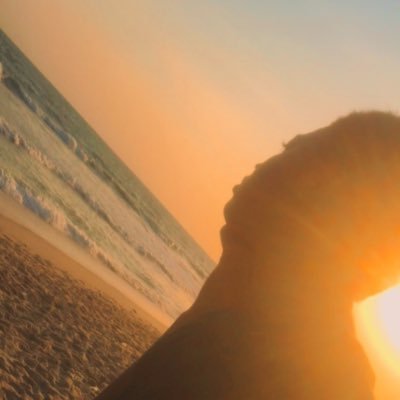 SON_OF_ANLO's profile picture. 