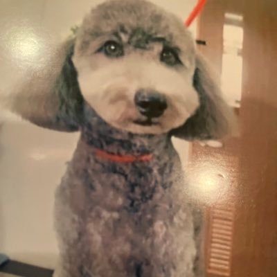 既婚者🚹です。家のこともあるので時間とお金は限られるのですが、気持ちだけは、ふるっぱーにドハマリ中です。 東京、🩷💚🔰です。 こんな私と仲良くしてくれる人、いろいろ教えてくれる人、よろしくお願いします! #ふるっぱー #FRUITSZIPPER