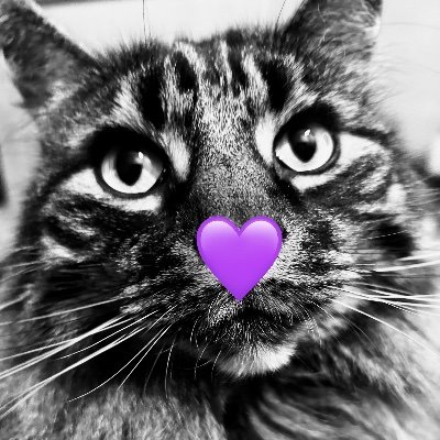 KirstySumm55802's profile picture. 