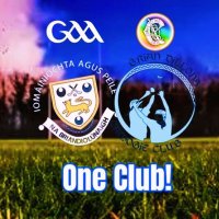 Brian Dillons GAA (@briandillonsgaa) 's Twitter Profile