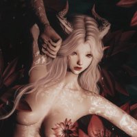 𝚂𝚎𝚛𝚎𝚗(@seren_ffxiv) 's Twitter Profile Photo