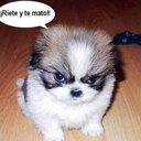 alejandro jiron - @alejandrojiron1 - Twitter