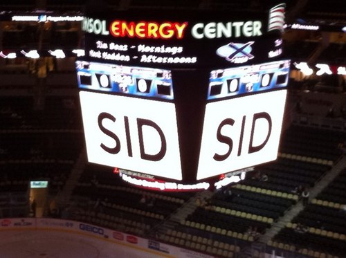 D_DiBi's profile picture. 