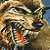 myojikish Profile Picture