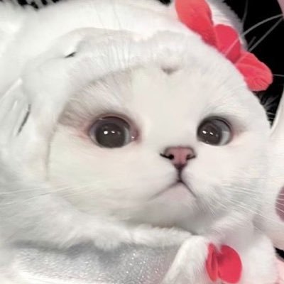 周辺B済 ／ 複数取引経験有 ／ 義務教育終了済 ／ 交換は郵送のみ