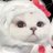 Bmy776's profile image