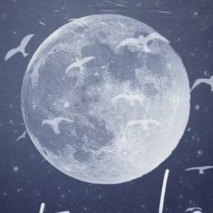 slowlifeps's profile picture. 