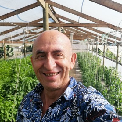 consombrero123's profile picture. Tengo 36 años - soltero - viajero desde el vientre de mi mamá - frutas - verduras - hierbas - escribir cuentos