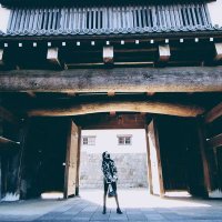 Reina Akama (@jqk09a) 's Twitter Profile