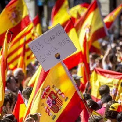 Nos sentimos catalanes y españoles ,Luchamos contra un separatismo cada vez más radicalizado y violento en Cataluña