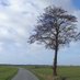 Tree of life / Culture eats strategy for breakfast (@xx2465487154951) Twitter profile photo Tree of life / Culture eats strategy for breakfast (@xx2465487154951) Twitter profile photo