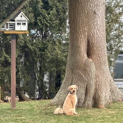 LtSkater's profile picture. Marine Captain @ TPG Marina & Jamestown Newport Ferry.  Lieutenant (ret) @ NKPD. URI (84); RWU (94); SRU (97). 🇺🇸🇨🇮🏒