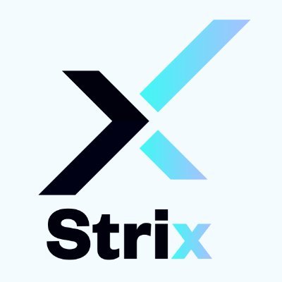 Strix_ng Profile Picture