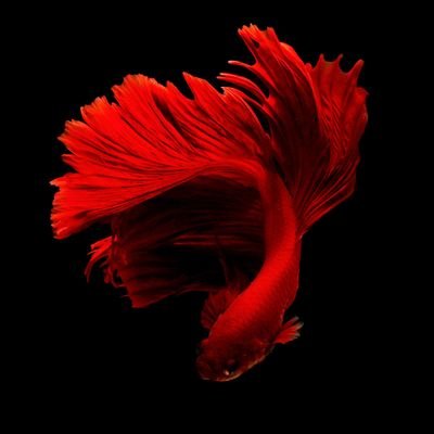 Tamilselva93302's profile picture. Music lover