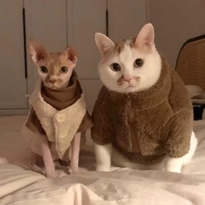 BM_Goods_Beem's profile picture. 