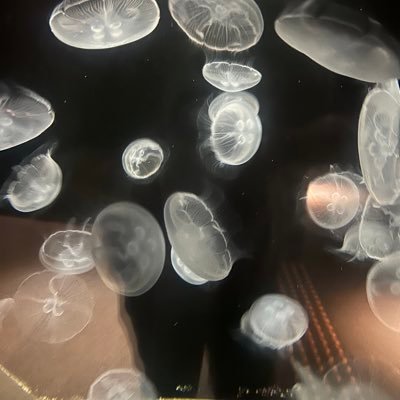 hiroki179343's profile picture. システムエンジニア | フロントエンド: React Next.js TypeScript | バックエンド: Golang | インフラ: Docker AWS GCP

フルリモートで土日稼働できる開発副業案件を探してます