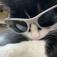 k. (@aivsnx) 's Twitter Profile