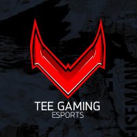 Tee Gaming(@TeeGamingOrg) 's Twitter Profile Photo