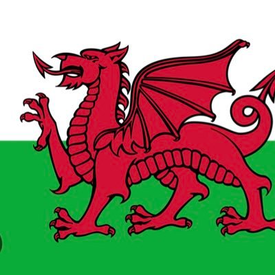Campaign to improve patient safety & highlight failings of speak up protocols in Wales. Supporting staff victims of bullying and reprisal after whistleblowing.