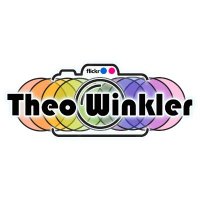 Theo Winkler @theowinkler.bsky.social(@theowinkl) 's Twitter Profile Photo