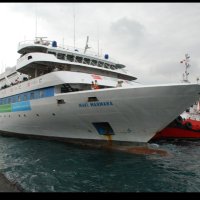 MaviMarmara (@archillelauro) 's Twitter Profile Photo