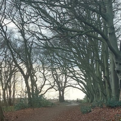 CrawfordLi64435's profile picture. There’s no one like me .. is that good or bad ?