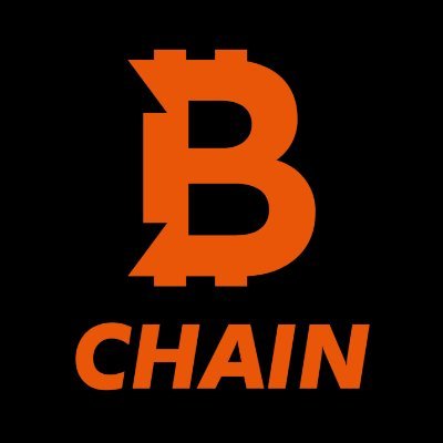 Company-Specific Blockchain Solutions