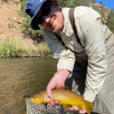 Steve Sherry 🇺🇸🇺🇦🇮🇱 - @Stephen_BTC - Twitter