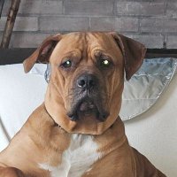 Matt (@jeff_sugarbear) 's Twitter Profile