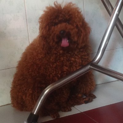 SeeYUnderM111's profile picture. Dreamer