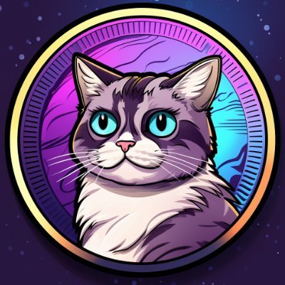 Welcome to Silly Cat on Solana. TG https://t.co/3LVMUIs5aK