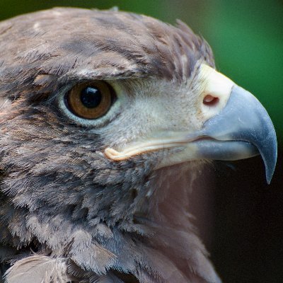 ロイヤルコペンハーゲン白鳥最終1点掲載期間長い為値引き後反応無ければ終了します。 ロイヤルコペンハーゲン白鳥最終1点掲載期間長い為値引き後反応
