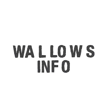 Official info account for @wallowsmusic | The new album, Model, out May 24th