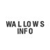 Wallows Info (@WallowsInfo) Twitter profile photo