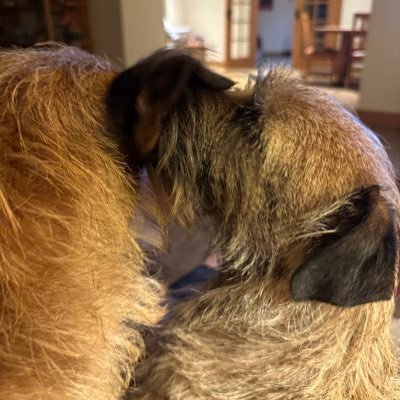 We are Mum and Daughter. We iz special and luvs peoples ❤️ Proud members and supplier to the #BTposse #PresidentialPup. otta_n_gyp on Threads