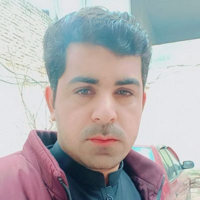 Salmanshahmalik's profile picture. I believe in truth |student of IR|