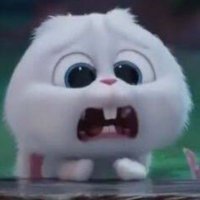 มร. (@moomakaaaa) 's Twitter Profile Photo มร. (@moomakaaaa) 's Twitter Profile Photo