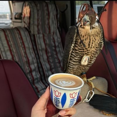 Fdait3's profile picture. 😴✨