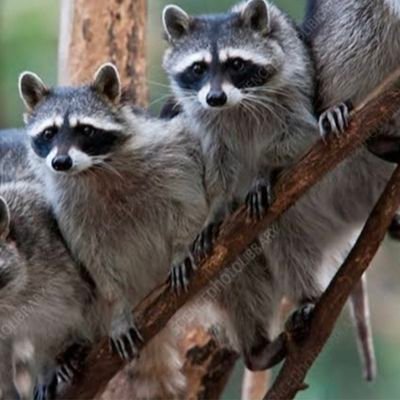 generalist1413's profile picture. New