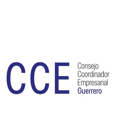 Presidente del Consejo Coordinador Empresarial capítulo Guerrero.Desarrollador inmobiliario.