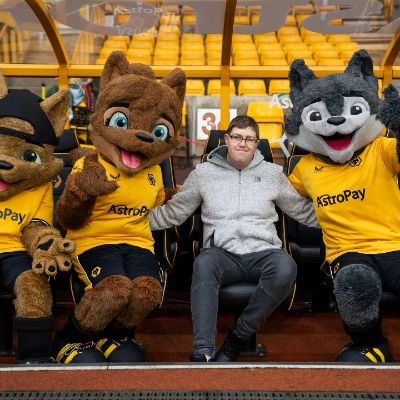 Im a wusky with personality and autistic but loves meeting my two official best buddies Wolfie and Wendy wolf of Wolverhampton and a Wolverhampton wanderers fan