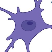MyeloidNetwork (@myeloidnetwork) 's Twitter Profile