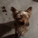 Spencer Duncan - @Slduncan1969 - Twitter