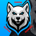 Alpha Gaming YT (@AlphaYt71353) Twitter profile photo