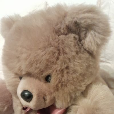 UrsusMoskibear Profile Picture